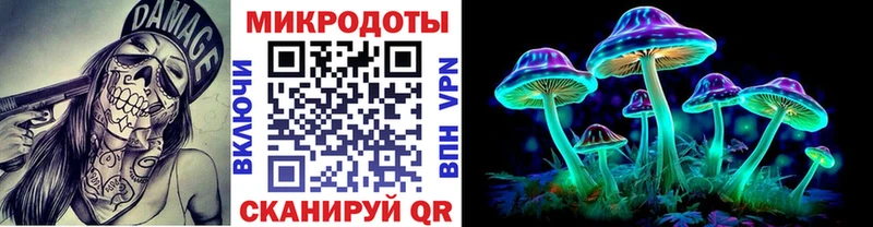наркошоп  Гагарин  Псилоцибиновые грибы GOLDEN TEACHER 