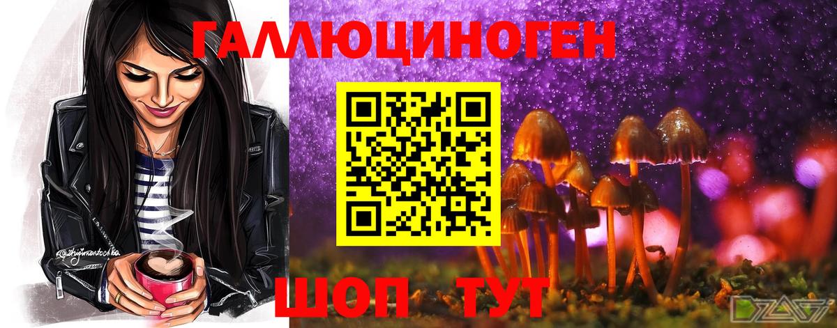 Галлюциногенные грибы мицелий  Галлюциногенные грибы мухоморы  Гагарин  Вход с VPN 