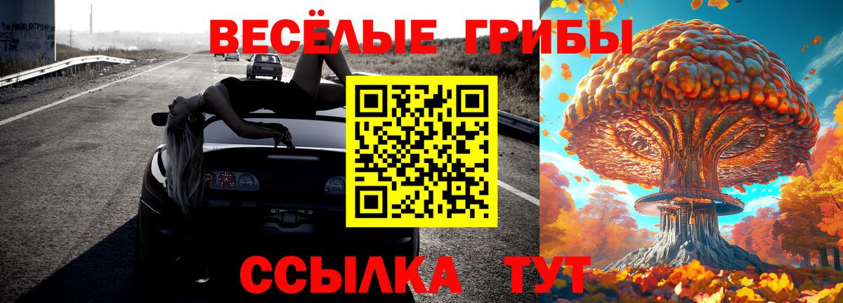 Псилоцибиновые грибы Magic Shrooms Гагарин